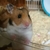 Profile picture small