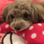 Profile picture small
