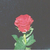 Profile picture small