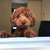 Profile picture small