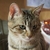 Profile picture small