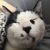 Profile picture small