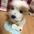 Profile picture small