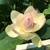 Profile picture small