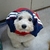 Profile picture small