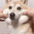 Profile picture small