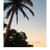 Profile picture small