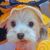 Profile picture small