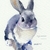 Profile picture small