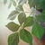 Profile picture small