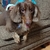 Profile picture small