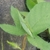 Profile picture small