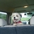 Profile picture small
