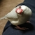 Profile picture small