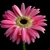 Profile picture small