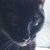 Profile picture small