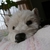 Profile picture small