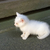 Profile picture small