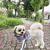 Profile picture small