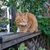 Profile picture small