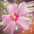 Profile picture small