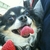 Profile picture small