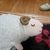 Profile picture small