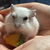 Profile picture small