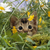 Profile picture small
