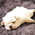Profile picture small