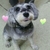 Profile picture small