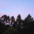 Profile picture small