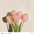 Profile picture small