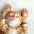 Profile picture small