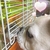 Profile picture small