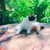 Profile picture small