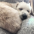Profile picture small