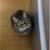 Profile picture small