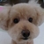 Profile picture small