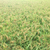 Profile picture small