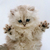 Profile picture small