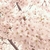 Profile picture small