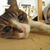 Profile picture small