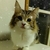 Profile picture small