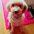 Profile picture small
