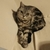 Profile picture small