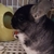 Profile picture small
