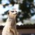 Profile picture small