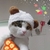 Profile picture small