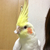 Profile picture small